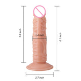 6.1 Inch Realistic Veined Dildo Without Scrotum For Anal Beginners