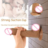 Best 8 Inch Removable & Bendable Realistic Silicone Harness Strap On Dildo