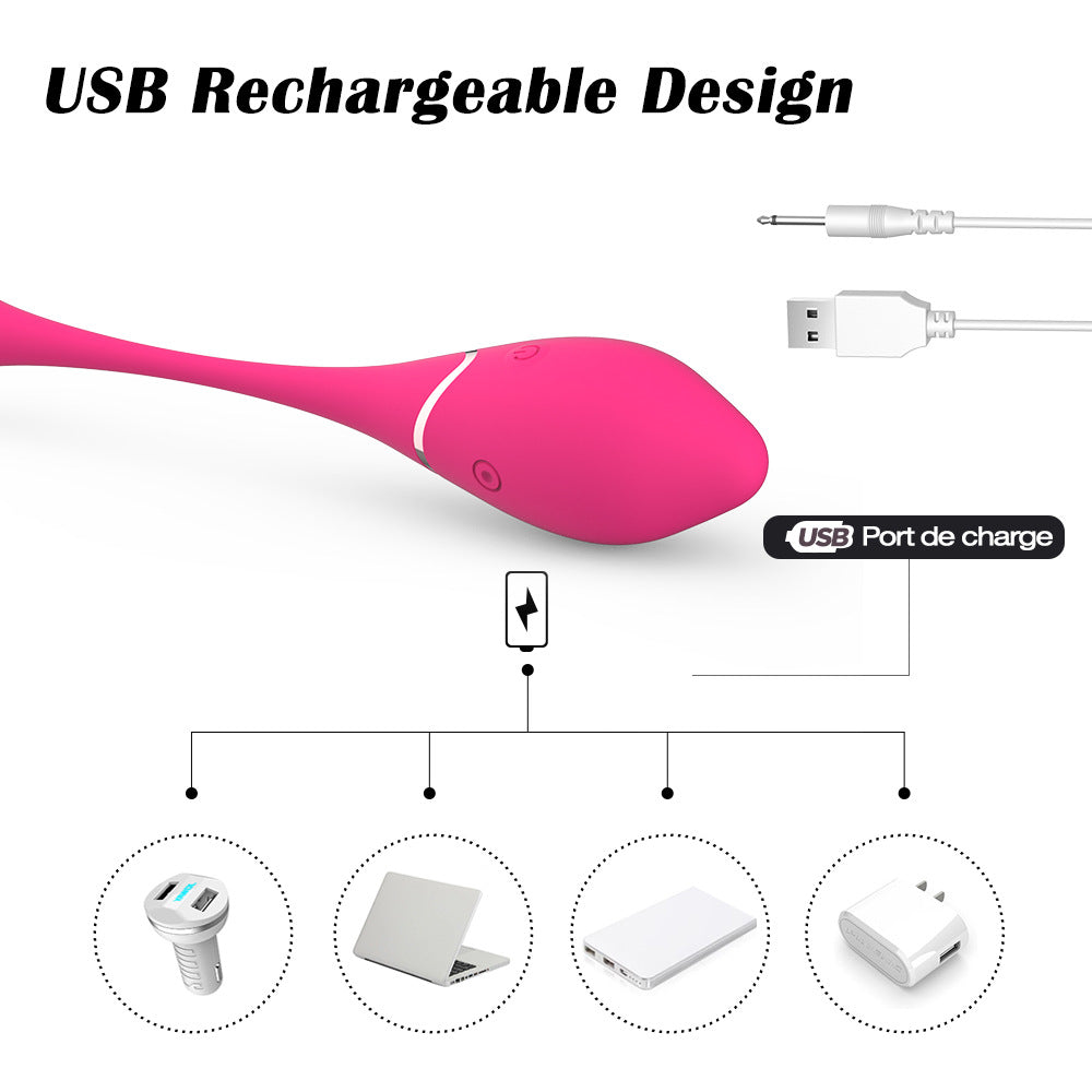Remote Control 10 Frequency Bullet Jump Egg Vibrator Kegel Ball