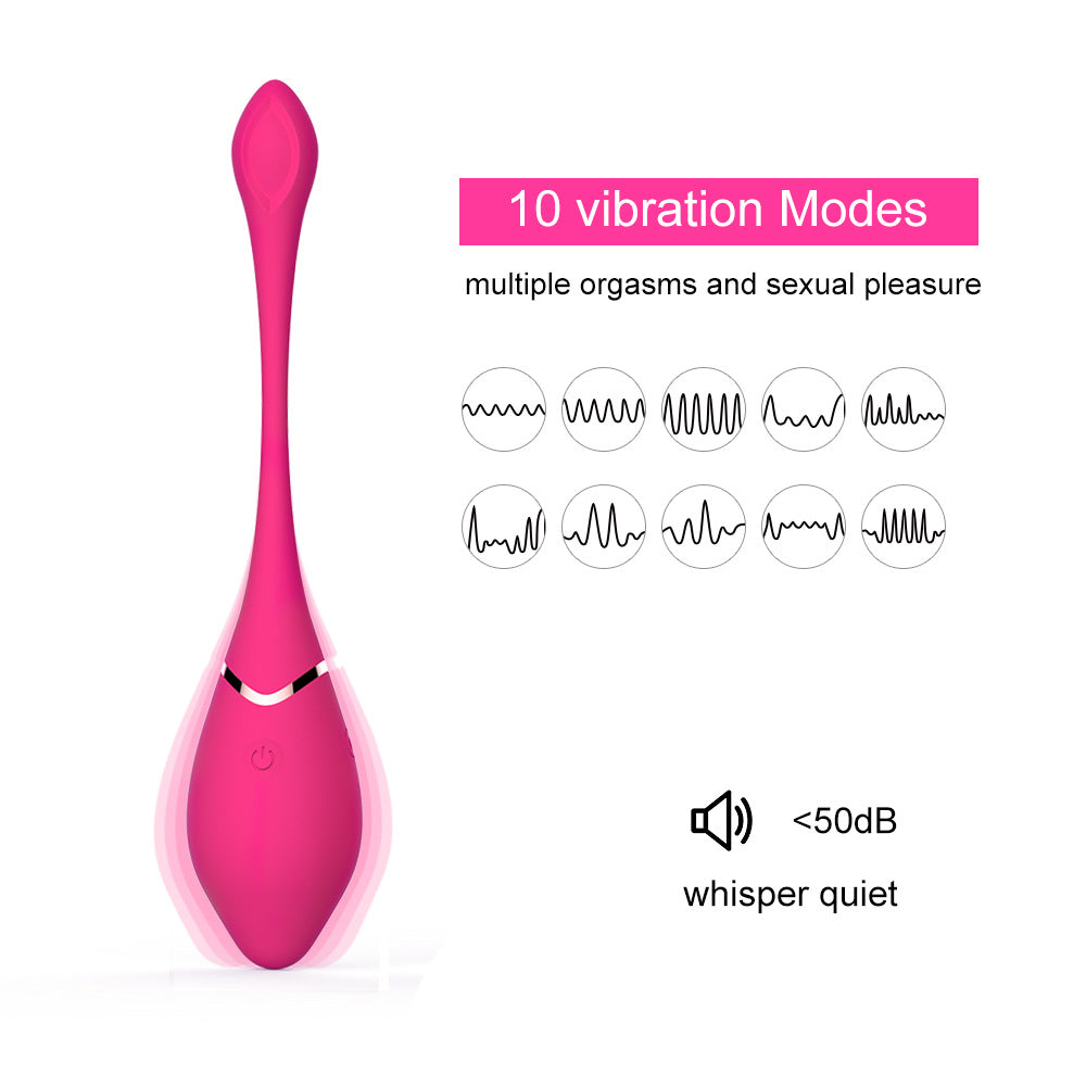 Remote Control 10 Frequency Bullet Jump Egg Vibrator Kegel Ball