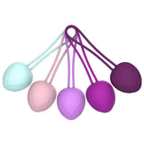 Ben Wa Kegel Ball Set 5 Pcs Progressive Weights