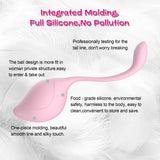 Silicone Kegel Ben Wa Balls Kit For Women Vaginal Tightening Exercise