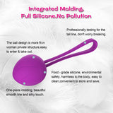 Ben Wa Kegel Ball Set 5 Pcs Progressive Weights