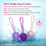 Ben Wa Kegel Ball Set 5 Pcs Progressive Weights
