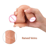 6.3 Inch Realistic Dildo With Foreskin Glans for Beginners Trainer