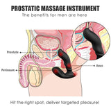 Prostatic Massager Remote Control Dual Motors Anal Vibrator 9 Patterns