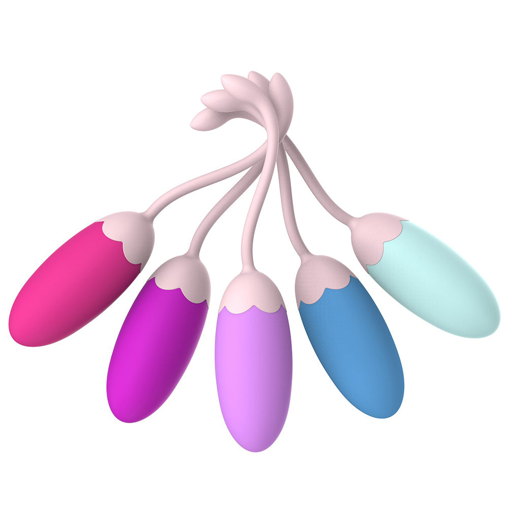 Silicone 5 Pcs Ben Wa Balls Vagina Tightening Kegel Exerciser Kit – Yosposs